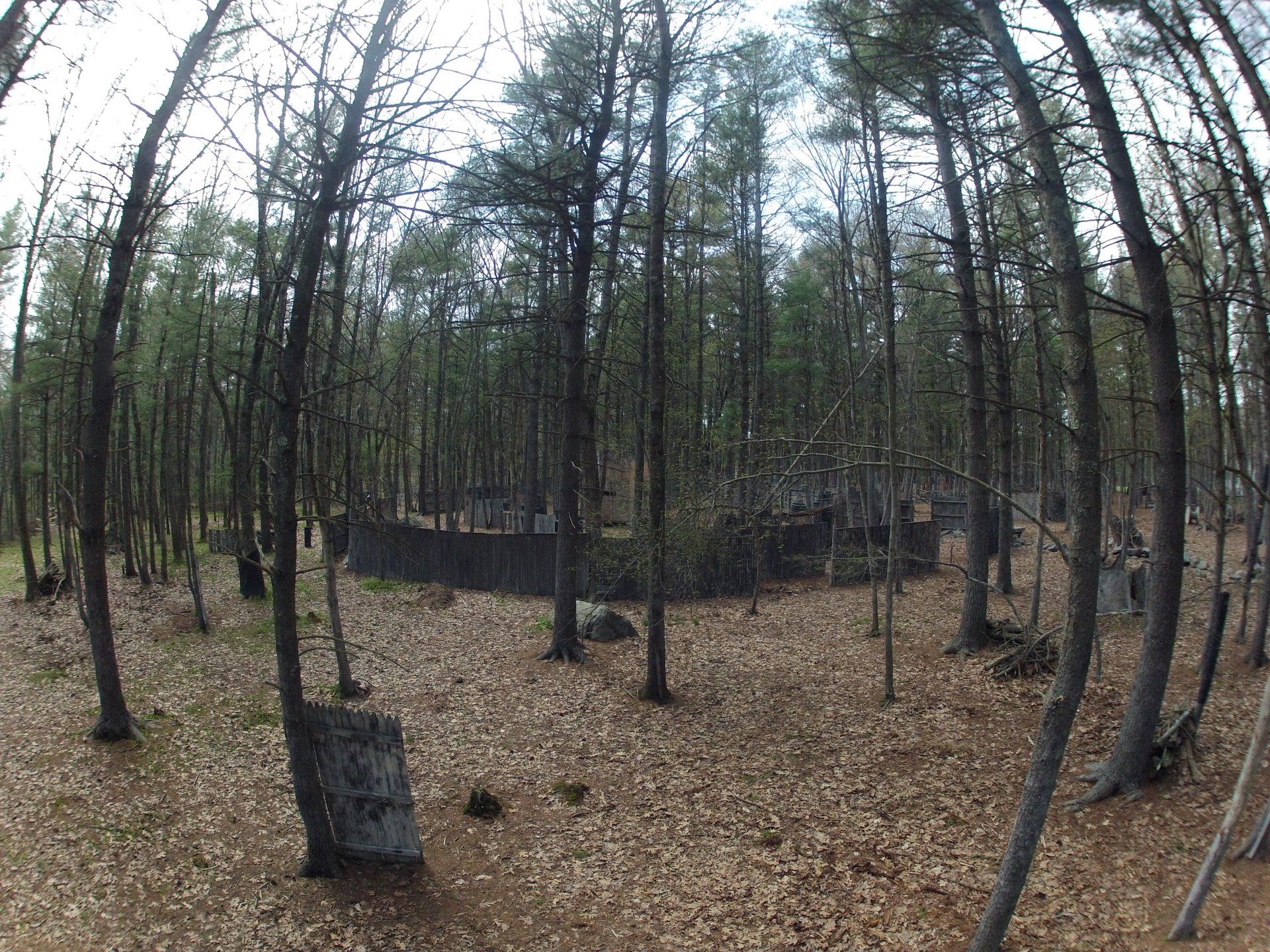 Barter Town Field Gallery