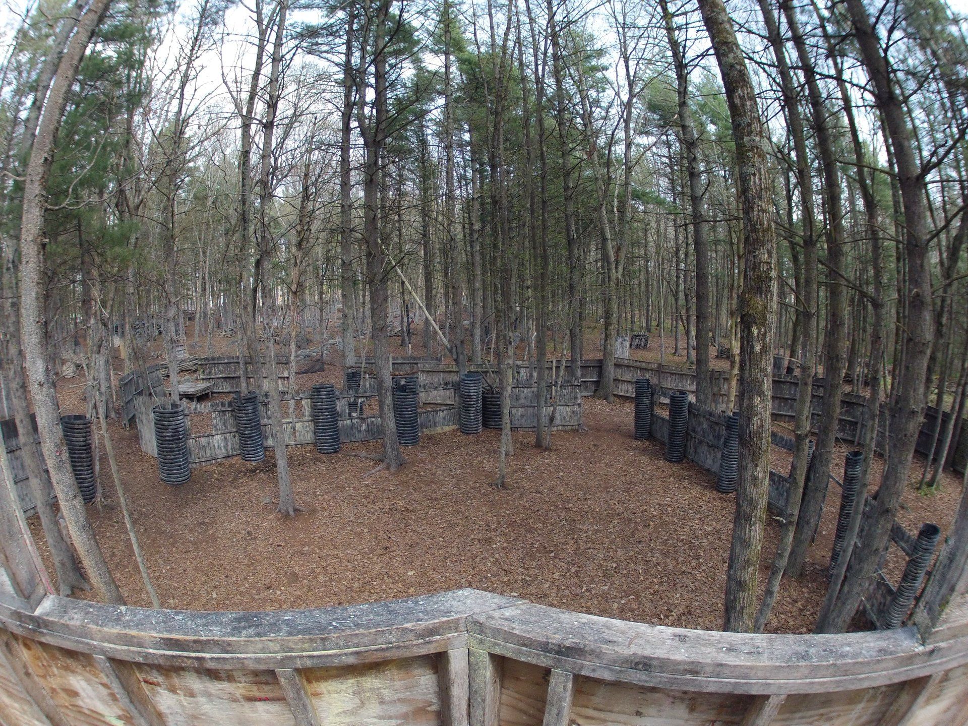 Barter Town Field Gallery