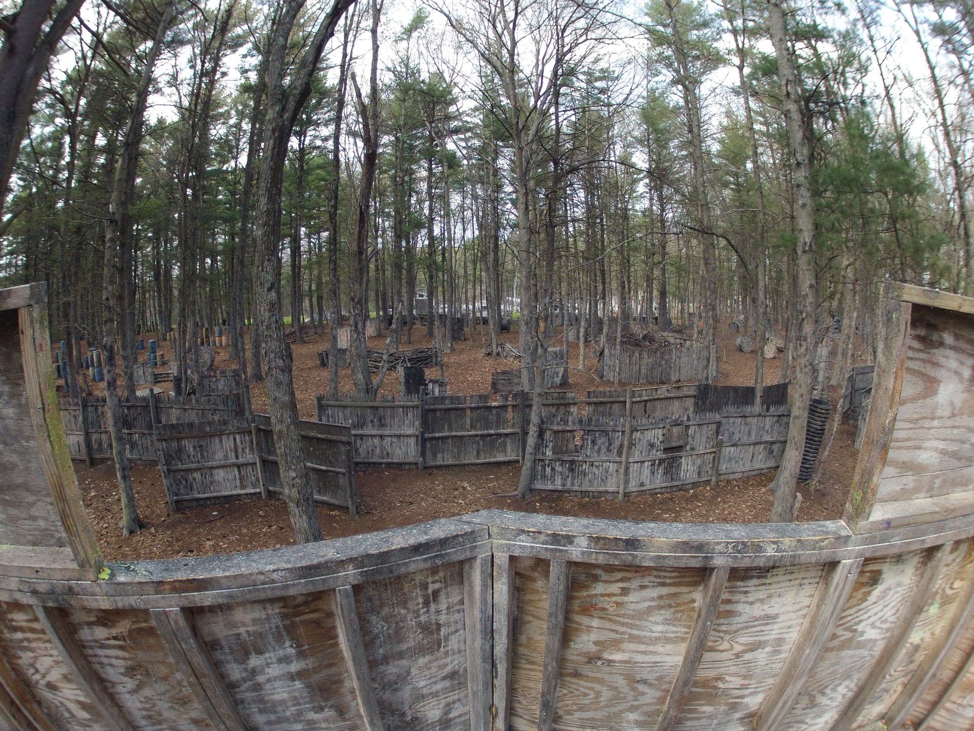 Barter Town Field Gallery