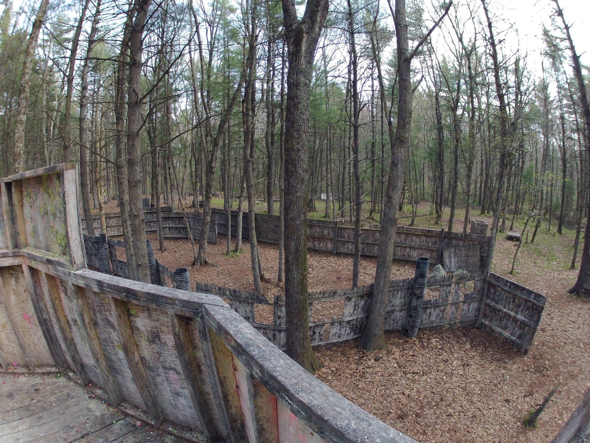 Barter Town Field Gallery