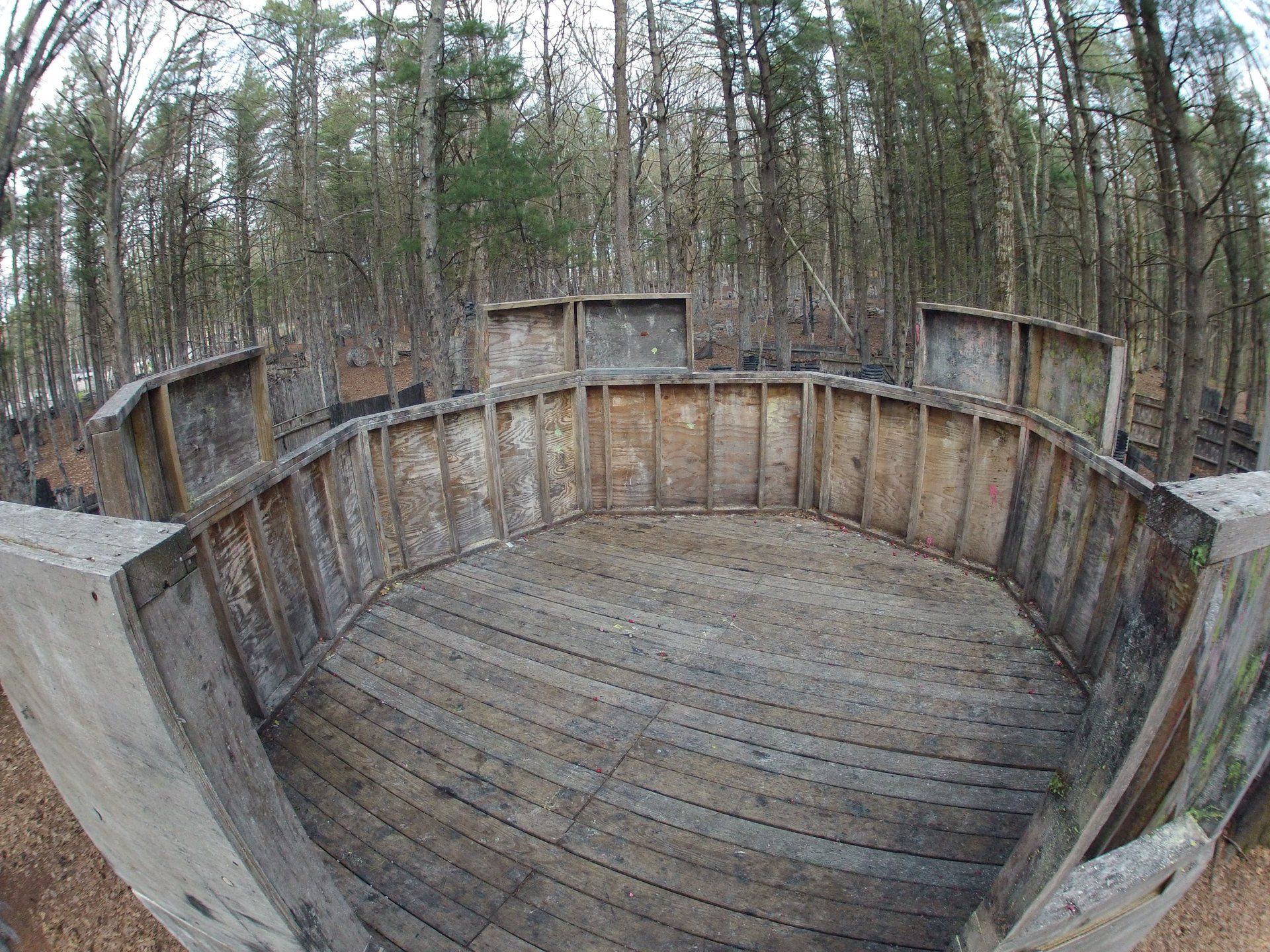 Barter Town Field Gallery