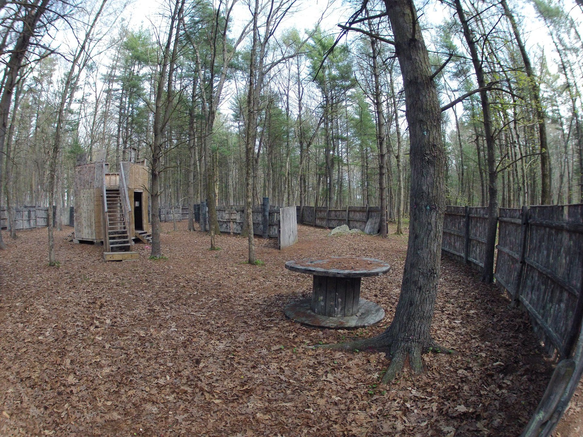 Barter Town Field Gallery