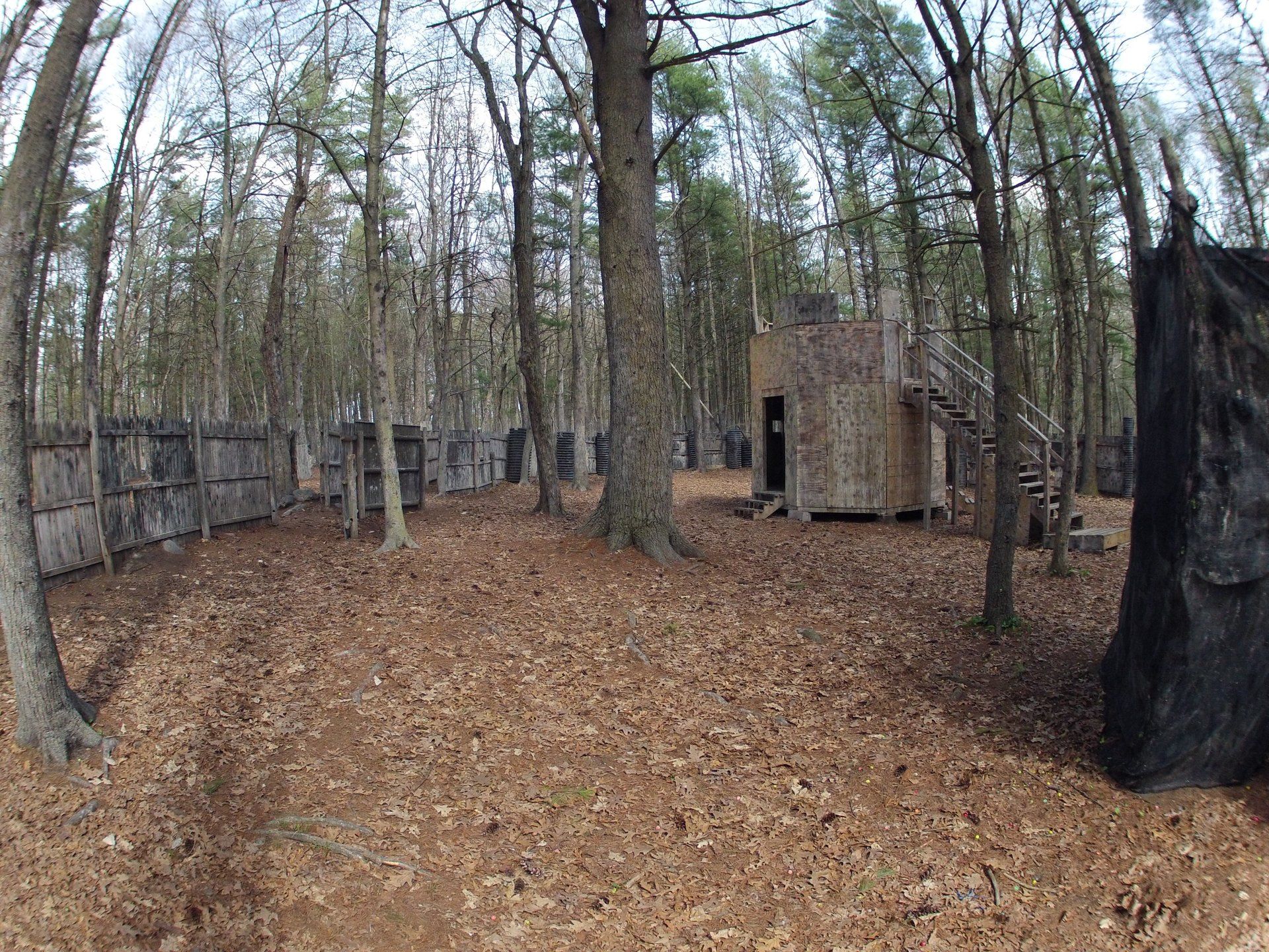 Barter Town Field Gallery