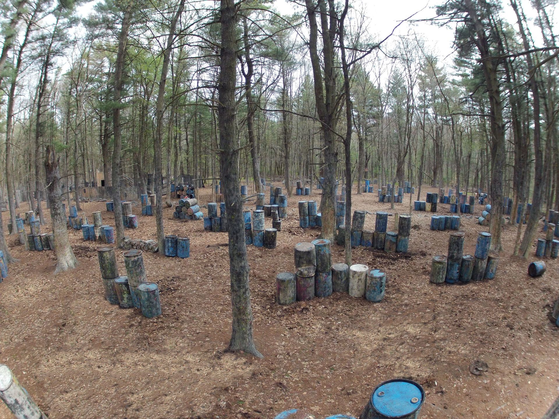 Blue Barrels Field Gallery