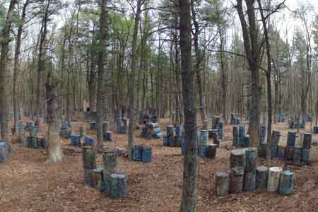 Blue Barrels Field Blue Barrels Field