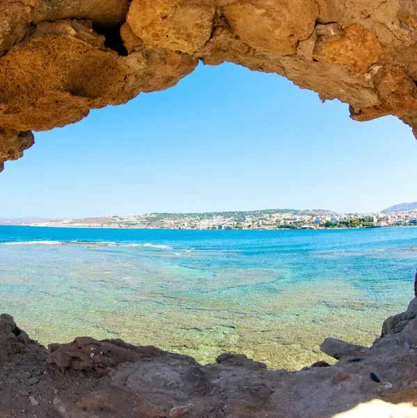 A person is holding a pineapple in a bag in a grocery store.