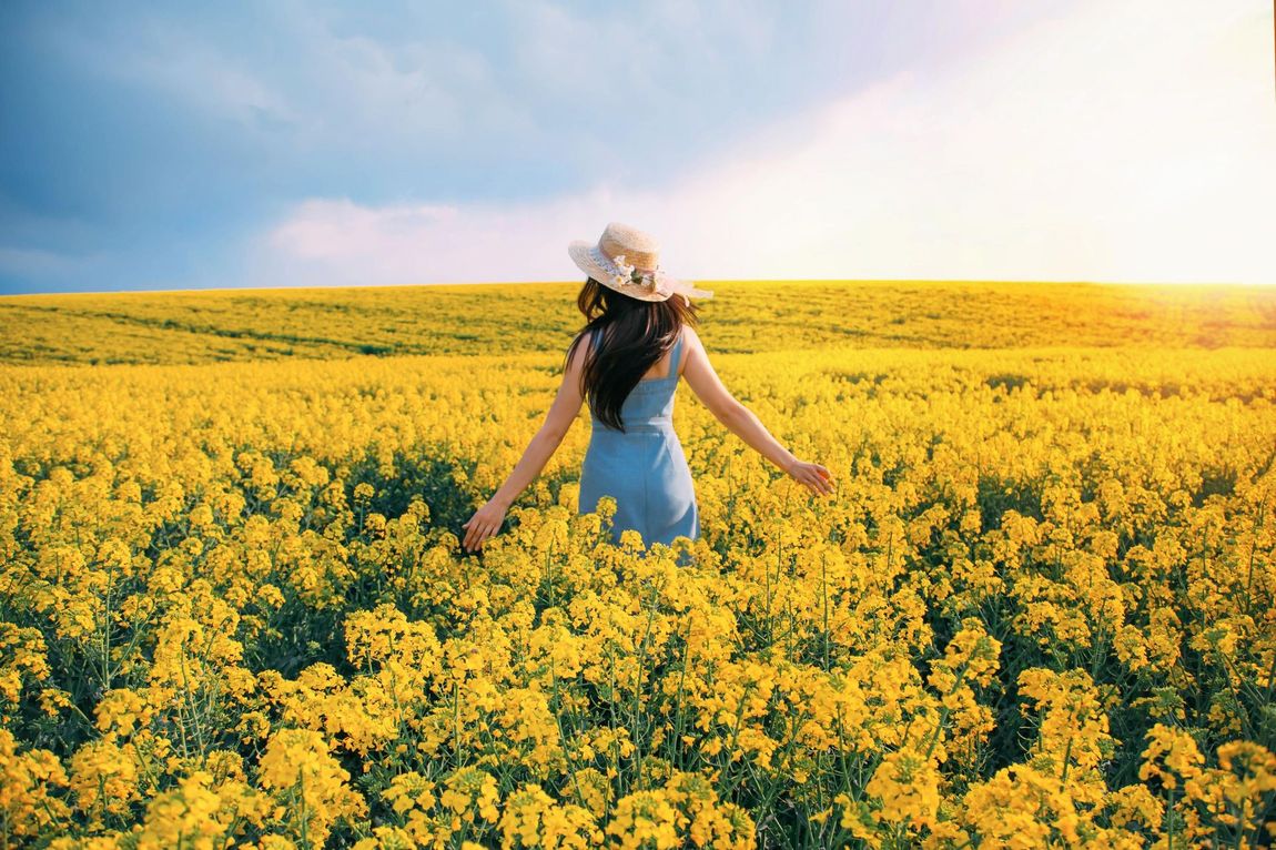 Woman in blue dress and straw hat walking through a vibrant yellow flower field, arms outstretched. Sunny day, blue sky.