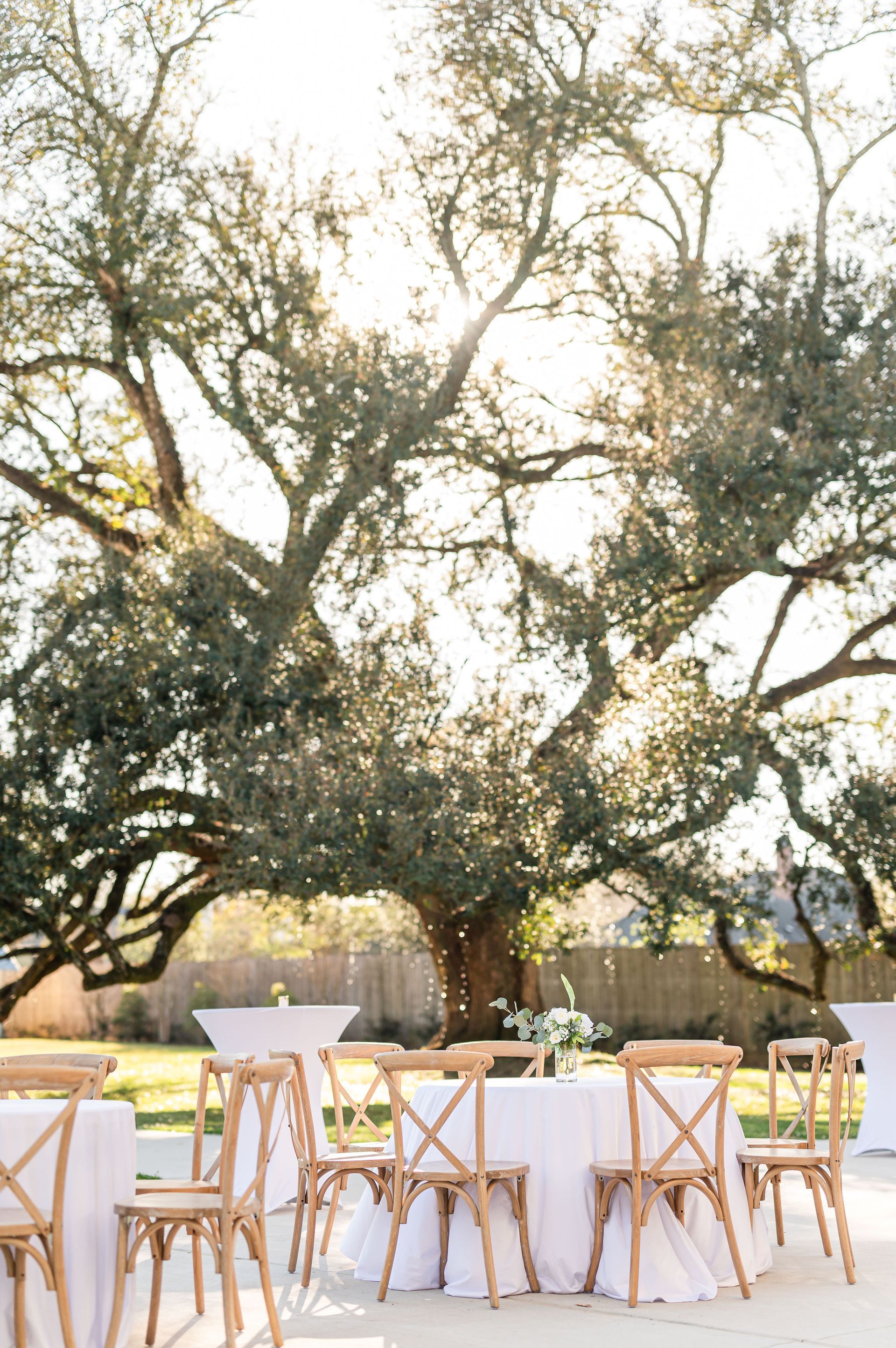 Wedding reception setup under a large tree; tables with white linens, wooden chairs; sunlight.