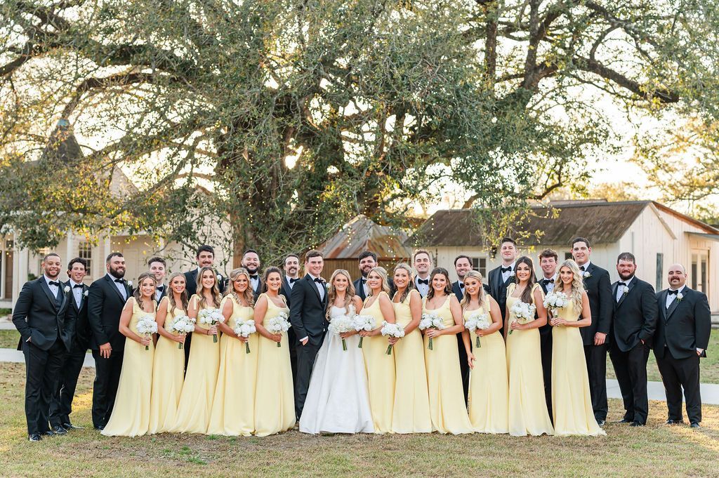 Wedding party poses outdoors. Bride and bridesmaids in yellow stand with groomsmen in black suits, beneath a tree.