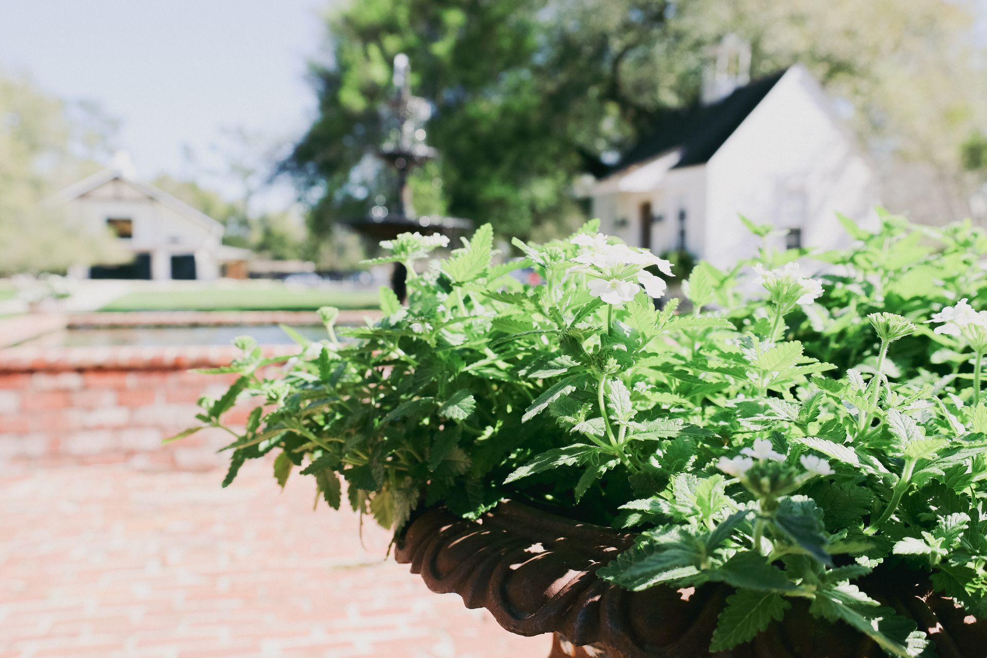 Mount Hope Plantation