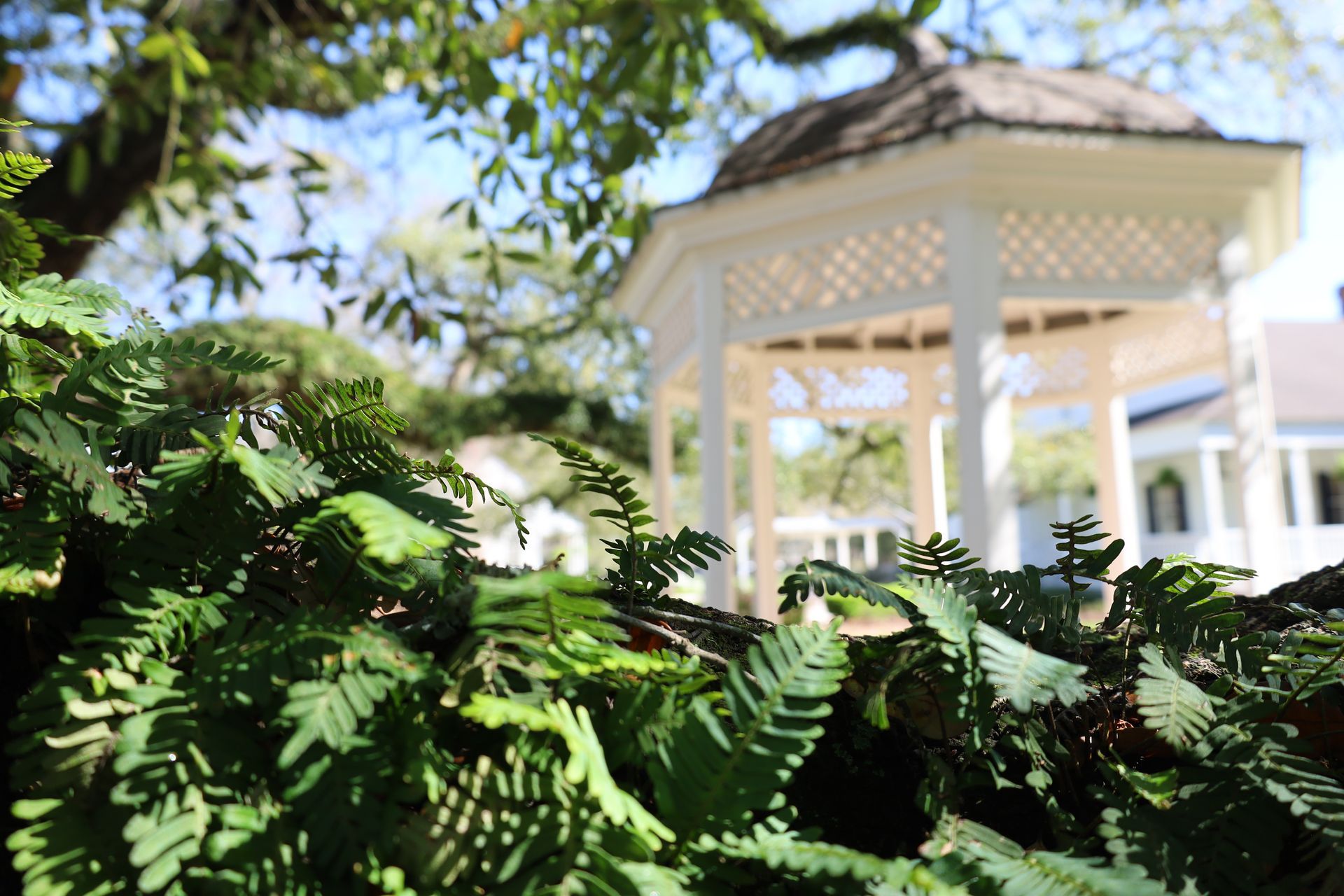 Unique Receptions in Louisiana