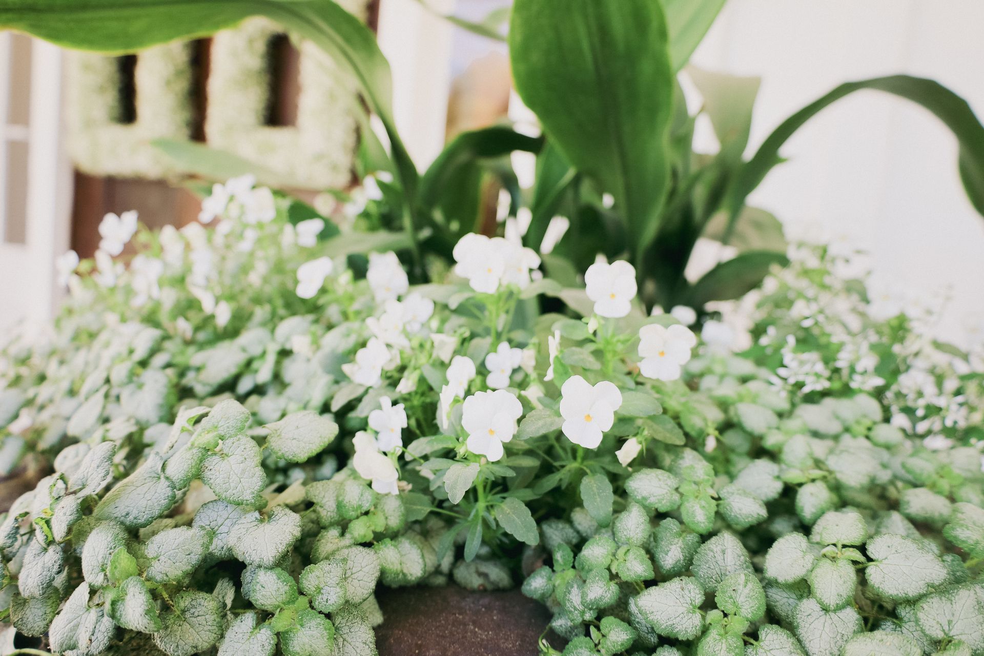 Louisiana Style Outdoor Receptions