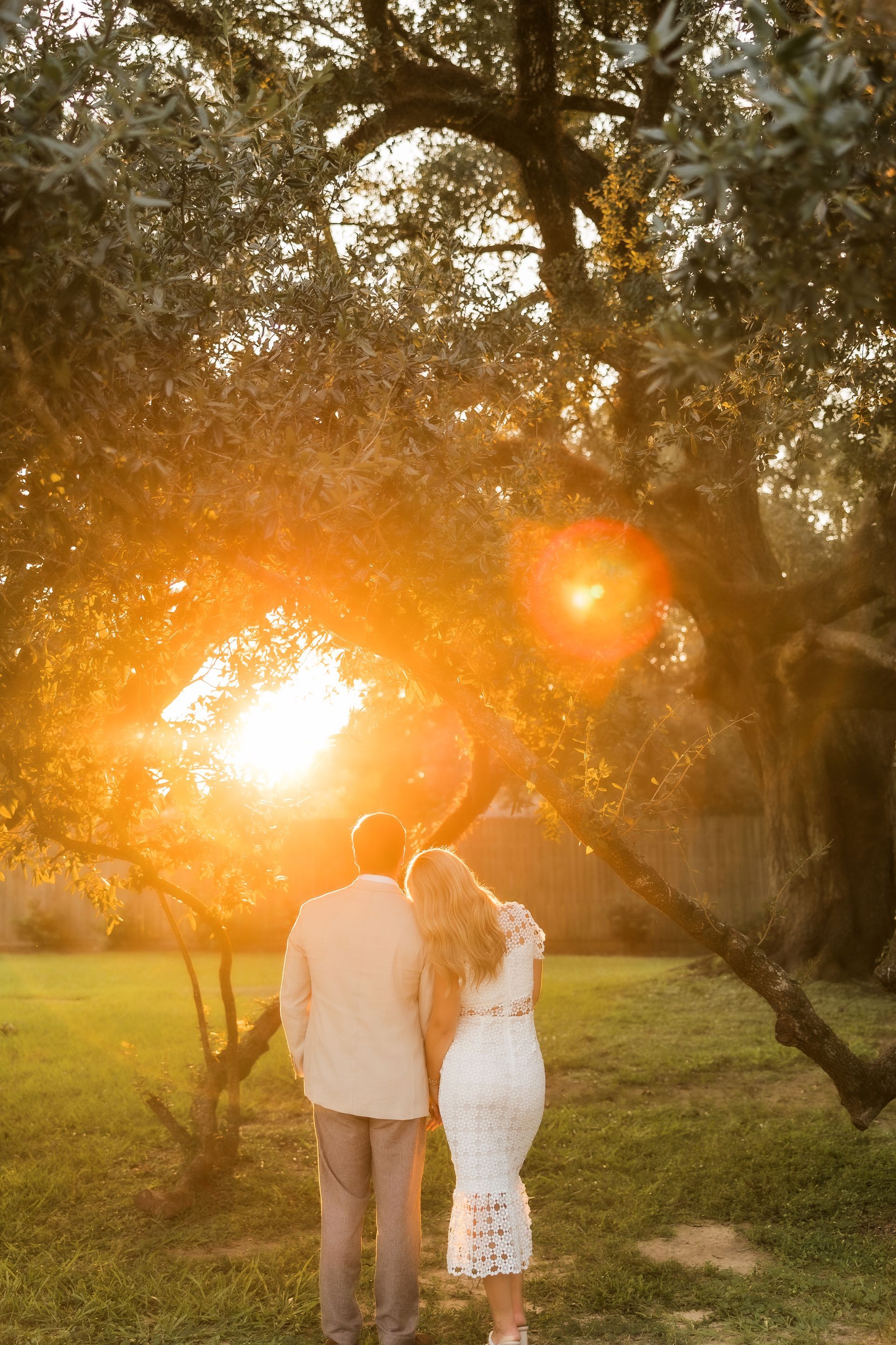 Couple embraces, gazing at setting sun through tree branches in a grassy park.