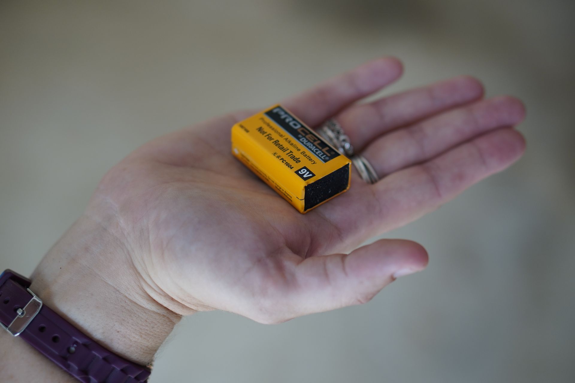 Customer Reviewing Fixed Price Smoke Alarm Quote