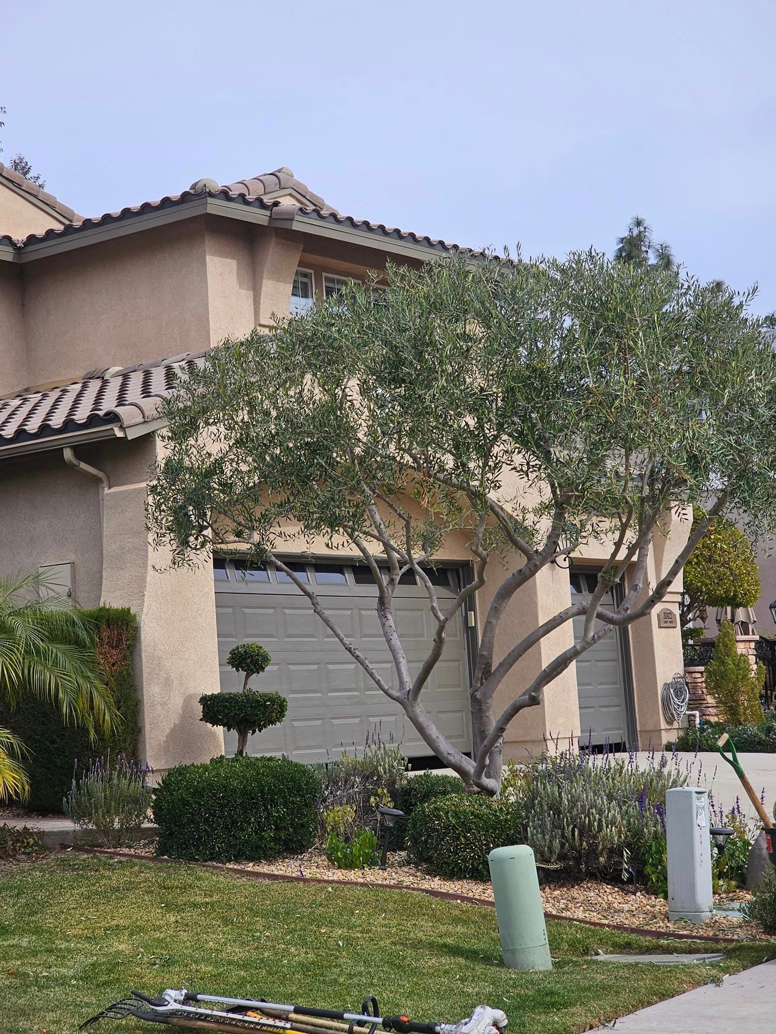 Land Management — Nuevo, CA — Ken’s Tree Service