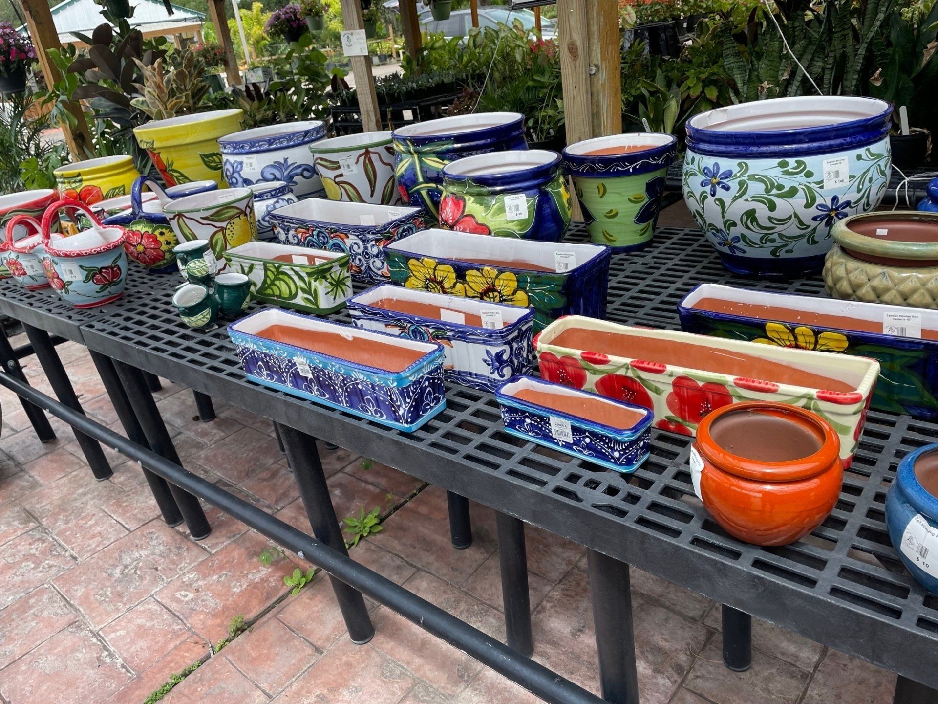 Event Rental Pottery