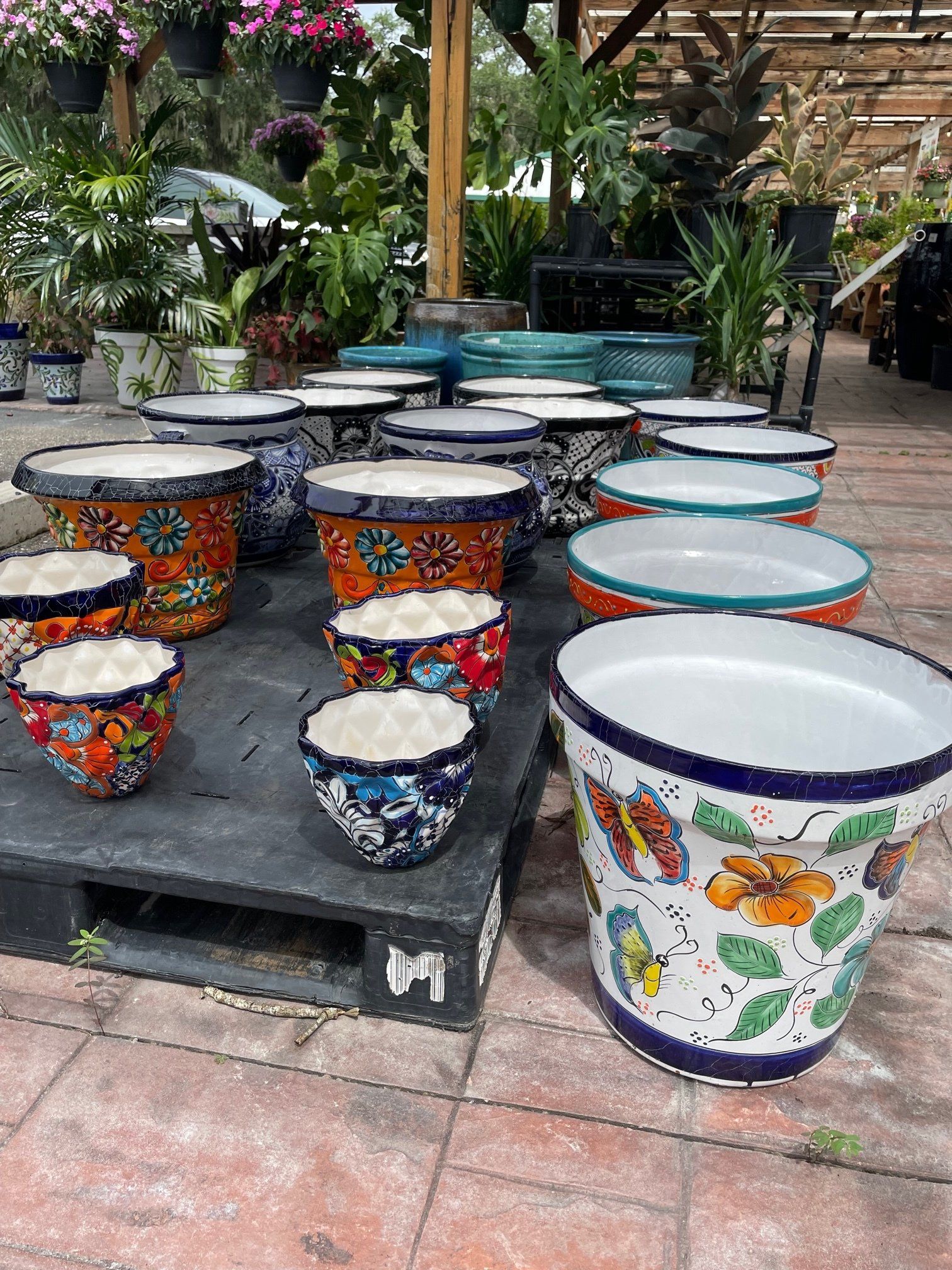 Event Rental Pottery