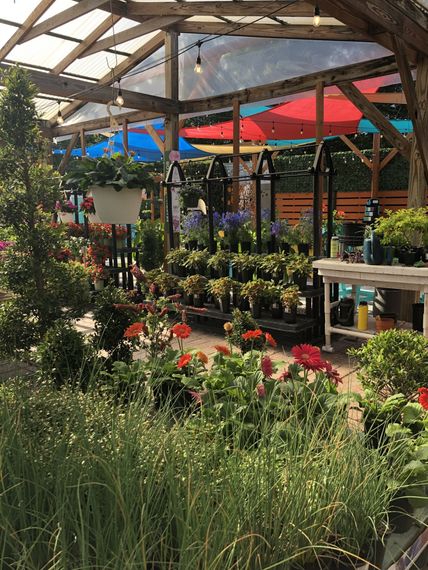 Garden Center & Landscaping | Green Thumb Nursery