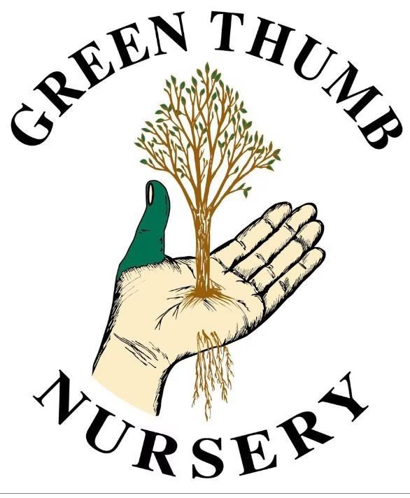 Gardening Tips | Tampa, Florida | Green Thumb Nursery