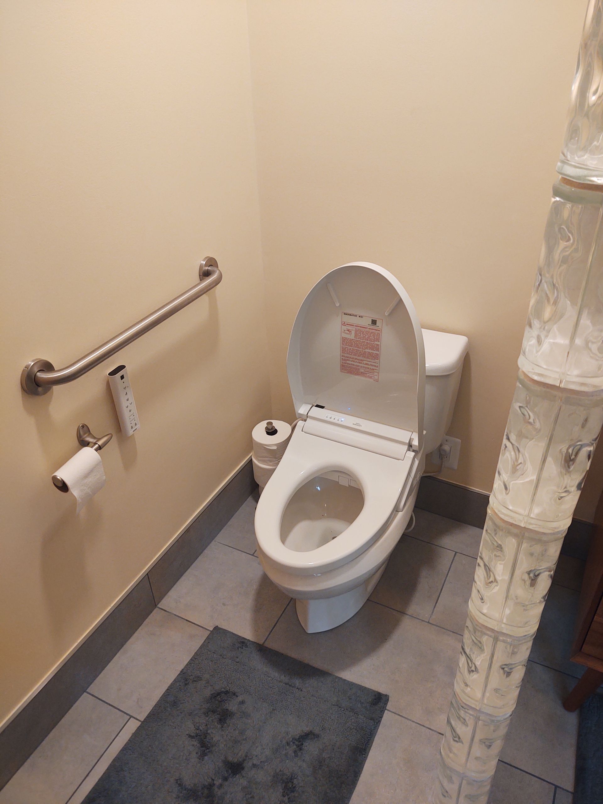 Toilet in a small bathroom with a grab bar, toilet paper, and rug.