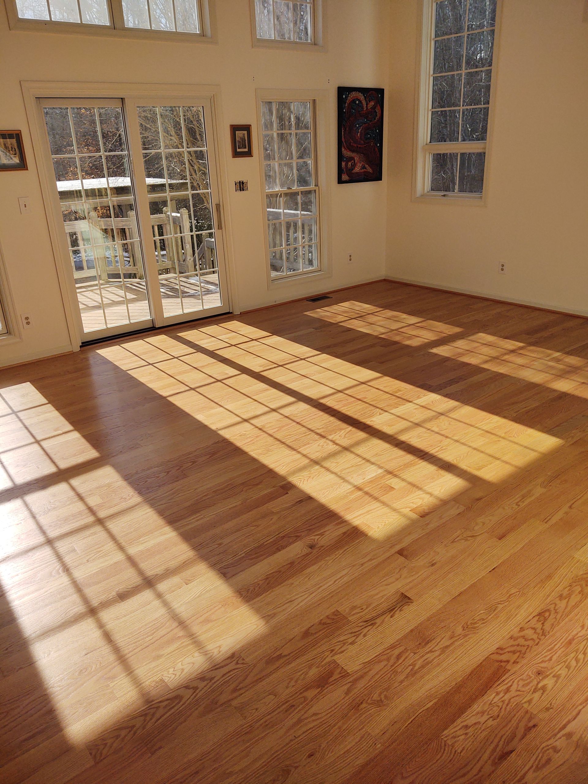 Hardwood floor in a room, sunlight casting shadows from windows.