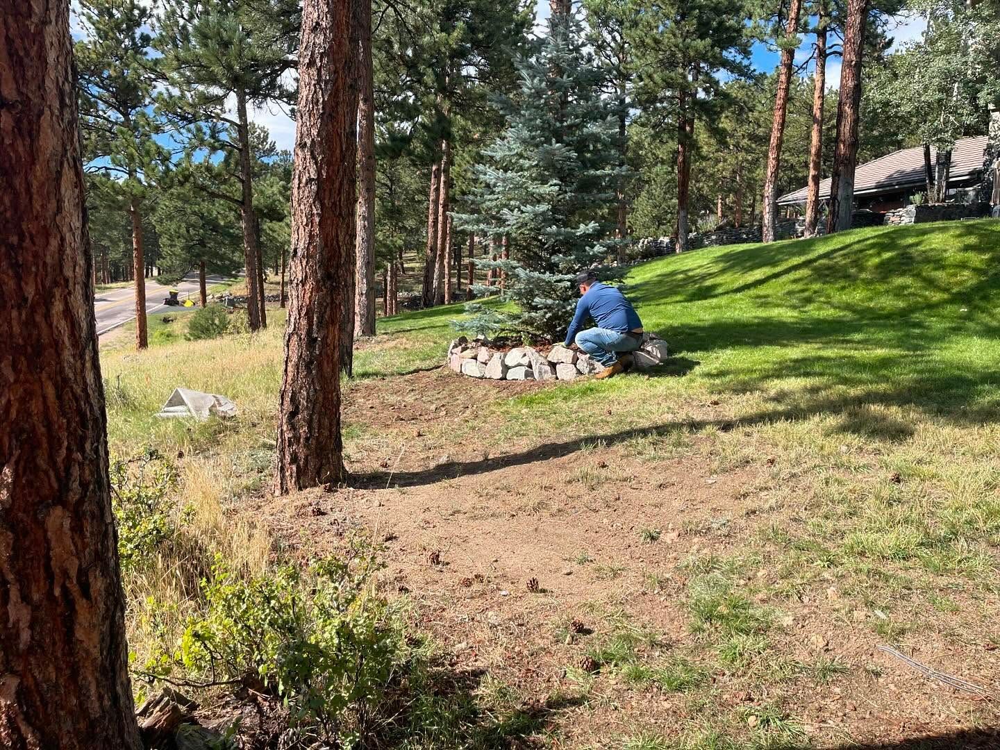 Person tending a small rock-ringed garden plot with a young evergreen tree. Outdoors, grassy area, trees in background.
