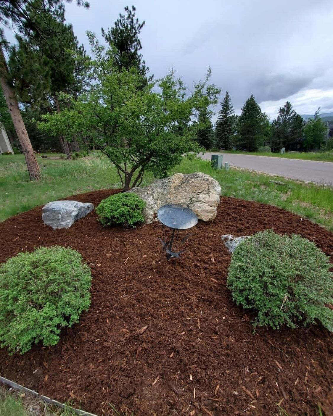 jr-landscaping-and-property-maintenance-general-landscaping-im