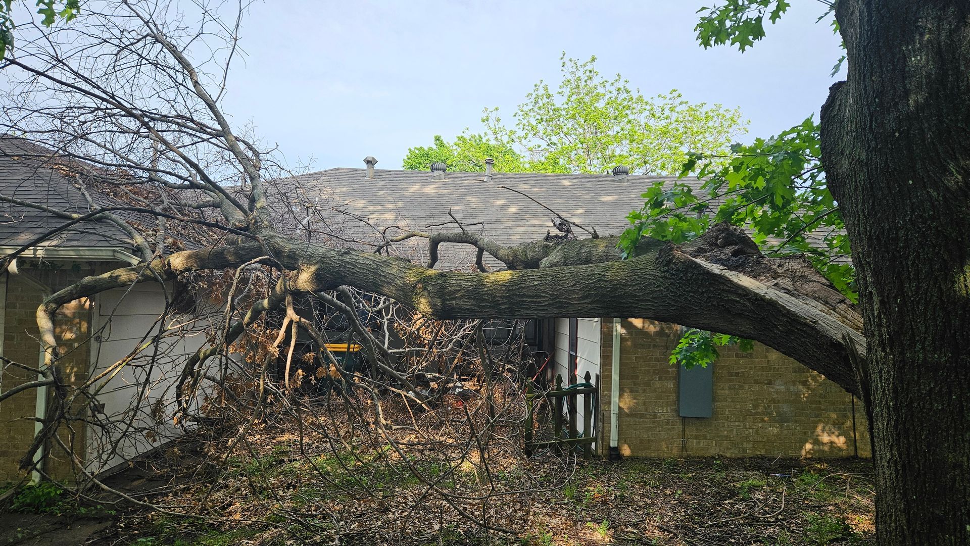 A tree has fallen on the roof of a house.