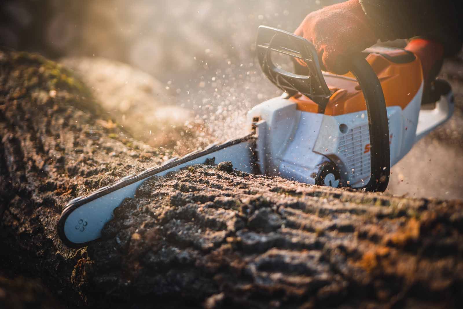 A person is cutting a tree with a chainsaw.