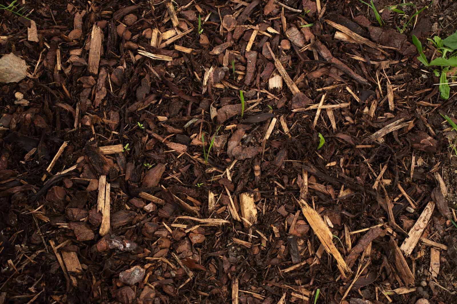 A pile of brown mulch is sitting on the ground.