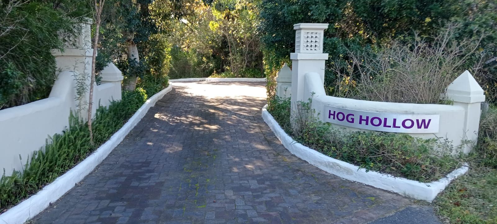 Entrance to Hog Hollow marked by a sign on a white wall. Driveway leads into lush greenery.
