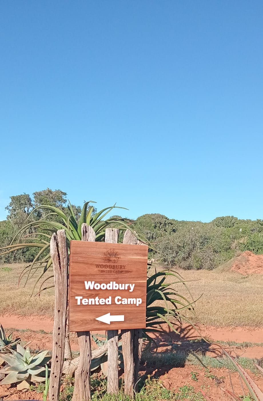 Wooden sign pointing toward Woodbury Tented Camp with blue sky and grassy landscape.
