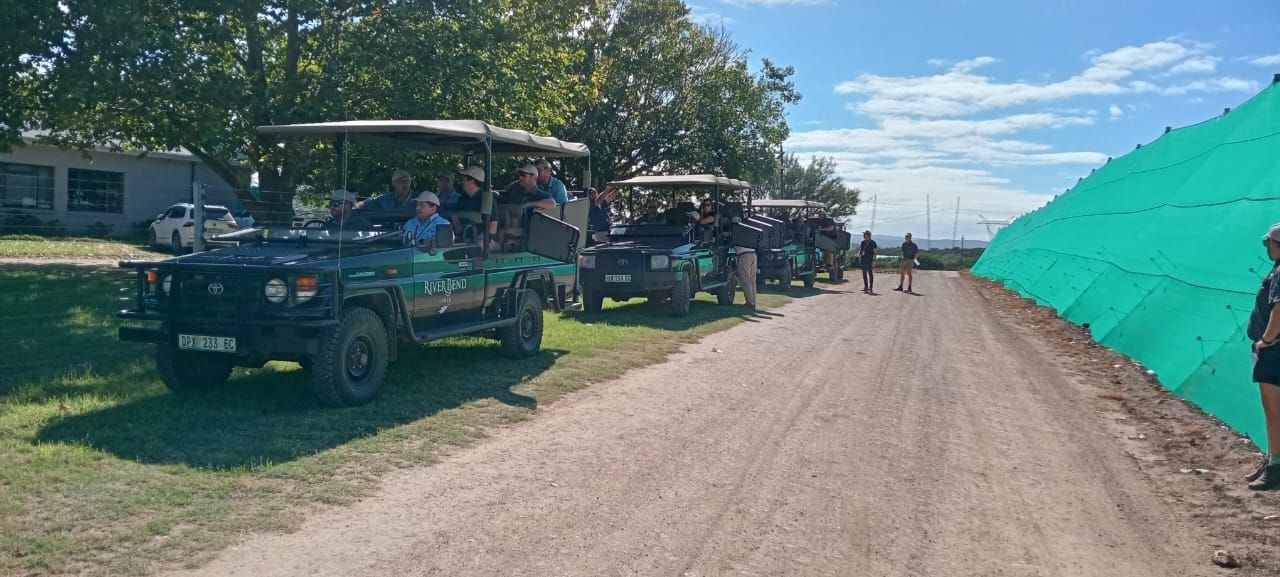 Safari vehicles lined up on a dirt road, next to a large green mesh structure, under a blue sky.