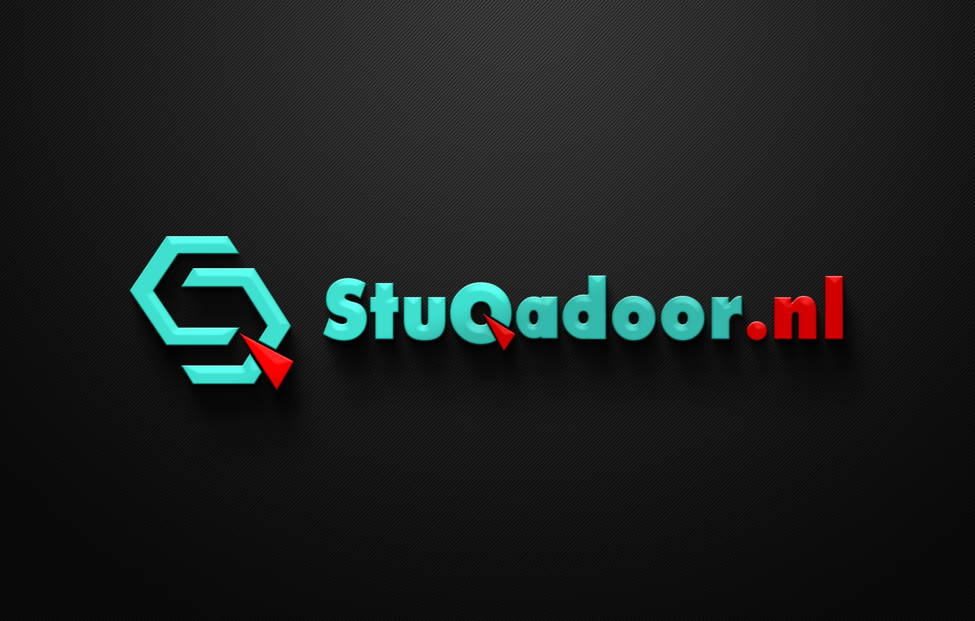 Een logo voor een bedrijf genaamd stuqadoor.nl