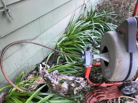 Drain Cleaning Auburn  Emergency Clogged Drain Line Repair in