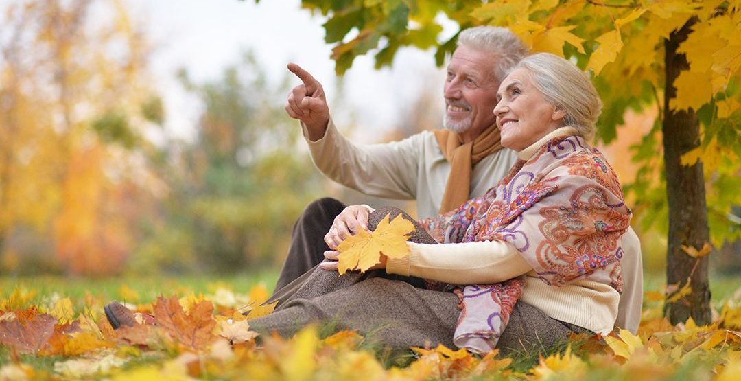 an elderly couple is sitting in the leaves under a tree .