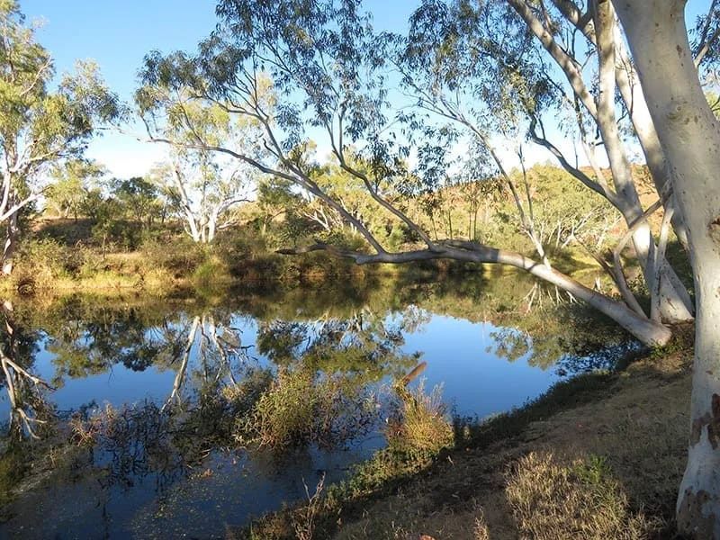 A Calm River Reflects Trees and Blue Sky — Mt Isa Four Wheel Drive Services in Mount Isa City, QLD