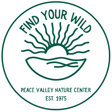 Find Your Wild