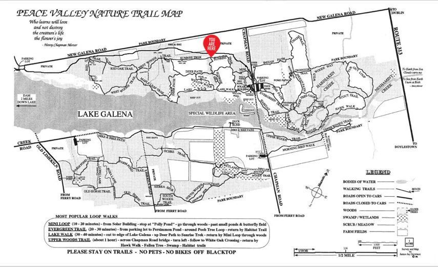 A black and white map of peace valley xtreme trail