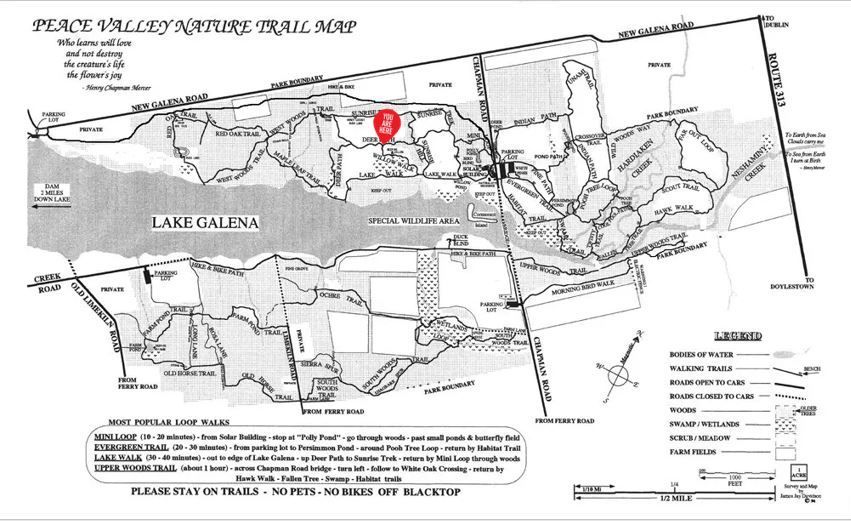 A black and white map of peace valley nursery trail map