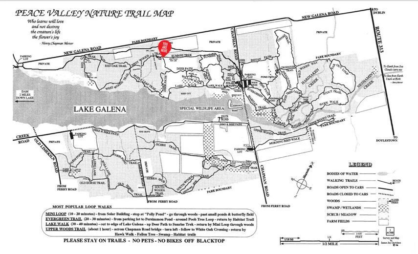 A black and white map with a red circle in the middle