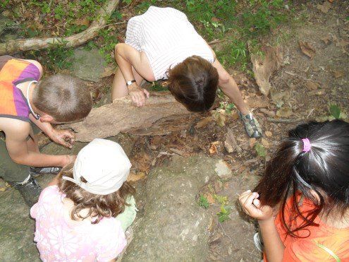A group of children are looking at something in the dirt