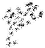 A black and white drawing of a bunch of ants on a white background.