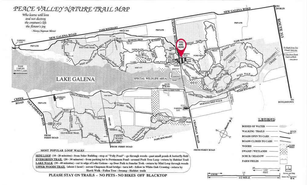 A black and white map with a red circle in the middle