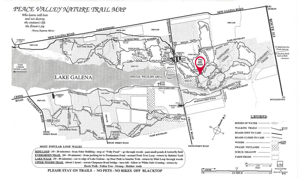 A black and white map of a park with a red pin on it.