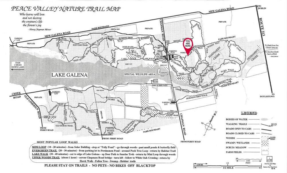 A black and white map with a red pin pointing to a location