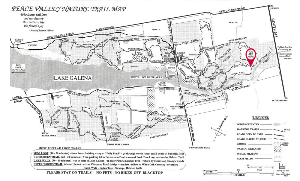 A black and white map of a park with a red pin on it.