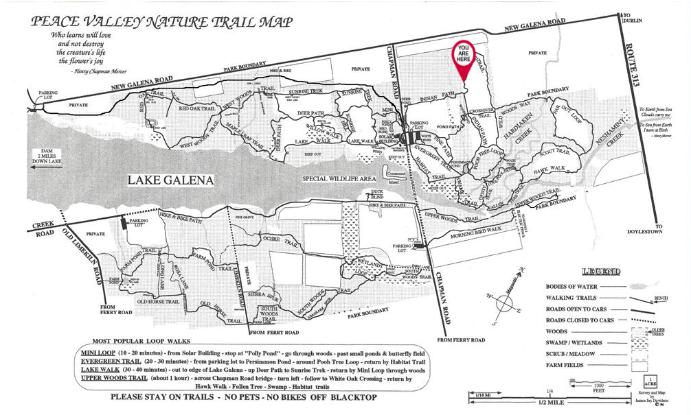 A black and white map with a red pin pointing to a location.