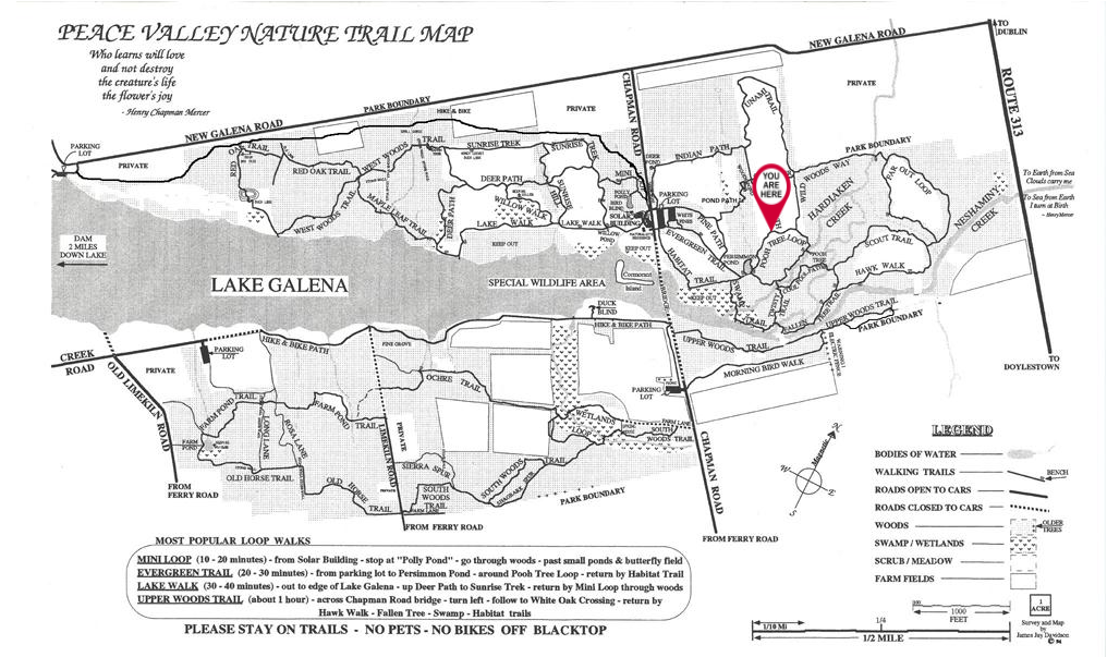 A black and white map of a park with a red pin on it.