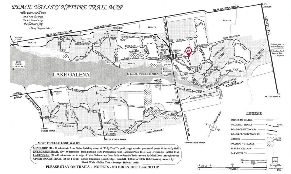 A black and white map of a park with a red star in the middle.